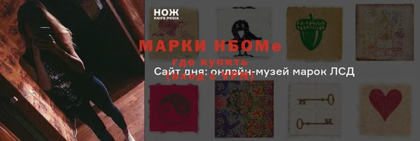 apvp Алзамай