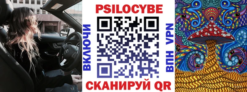 Псилоцибиновые грибы GOLDEN TEACHER  магазин  наркотиков  Кяхта 